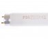 Инсектицидная небьющаяся лампа в плёнке 15W в Ростове-на-Дону