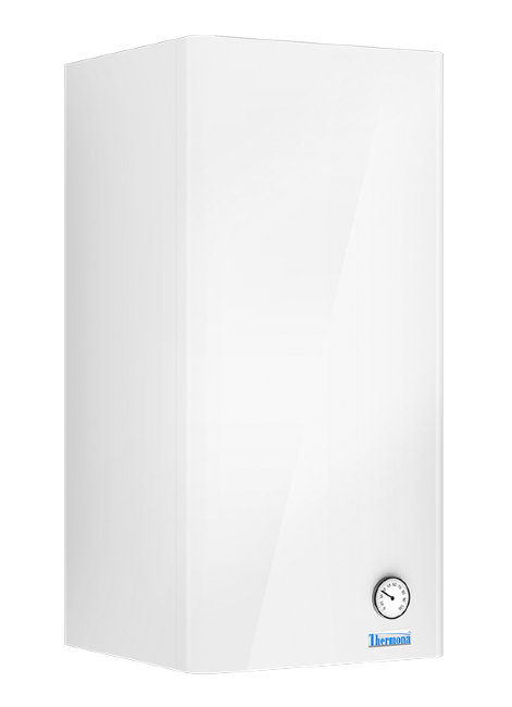 Бойлер Thermona THERM 55 (нерж) в Ростове-на-Дону