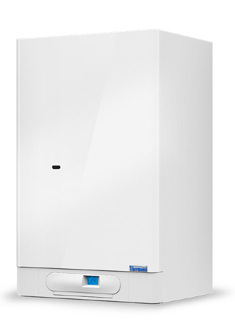 Газовый настенный котел THERMONA THERM DUO 50 FT.A в Ростове-на-Дону