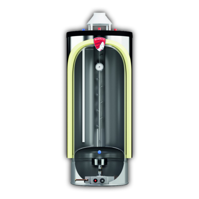 Водонагреватель газовый Federica Bugatti INOX WH50 Водонагреватель газовый Federica Bugatti INOX WH50