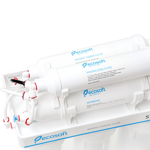 Система обратного осмоса Ecosoft MO650MECOST в Ростове-на-Дону Система обратного осмоса Ecosoft MO650MECOST в Ростове-на-Дону